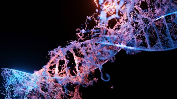 ADN à double hélice pour un test de paternité