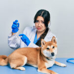 prévenir et traiter les parasites chez le chien