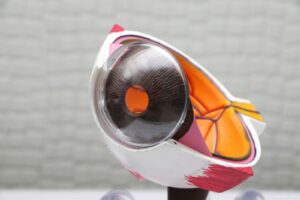 vaisseau spatial rouge et argent