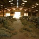 a barn filled with lots of hay next to a doorway