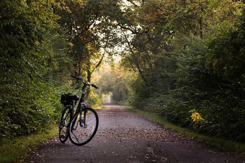 Vélo noir sur une route forestière, soleil et feuilles mortes visibles