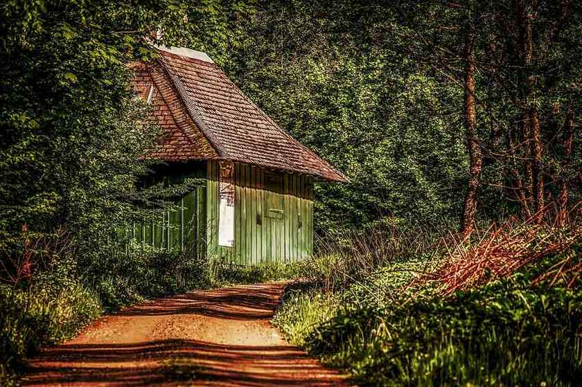 Petite cabane verte avec toit rouge dans une forêt dense et verdoyante Petite cabane verte avec toit rouge dans une forêt dense et verdoyante